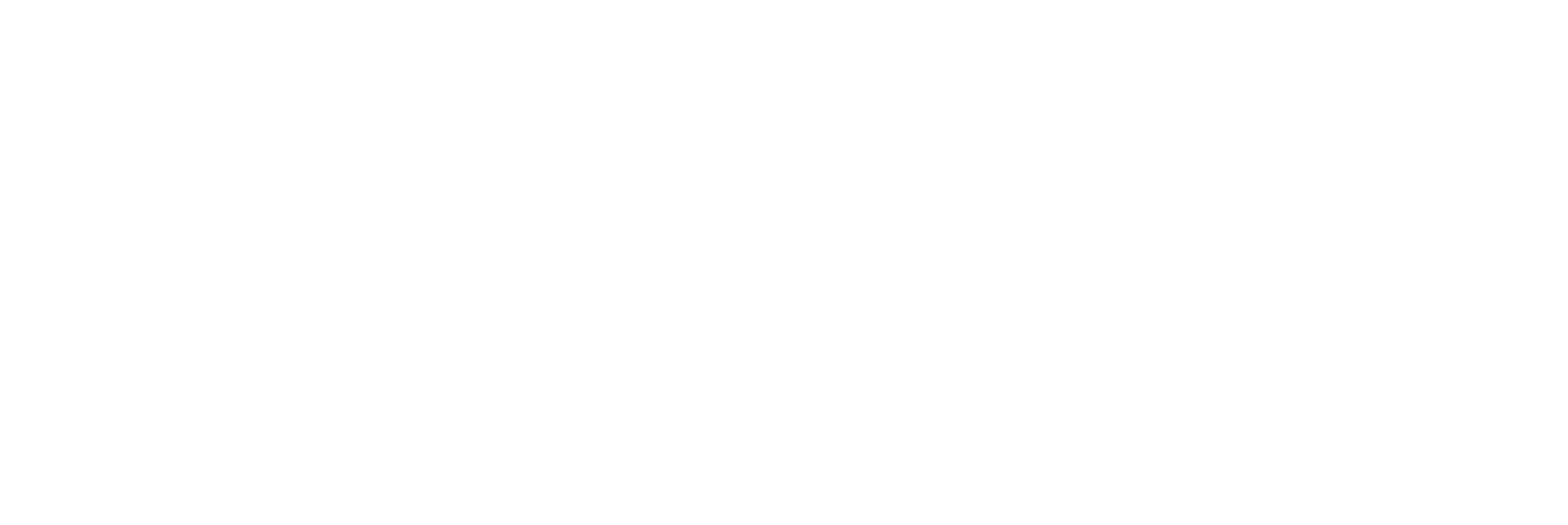Noble Neon